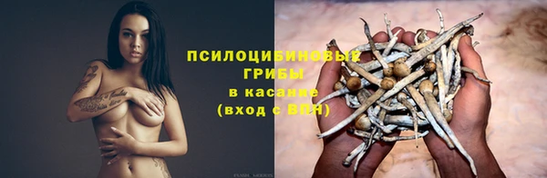 молекула духа Киренск