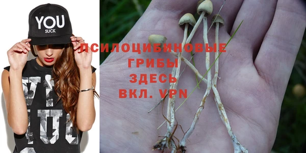меф Киреевск