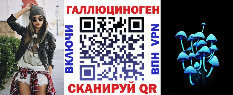 Купить закладки  Курск  Псилоцибиновые грибы Psilocybine cubensis 
