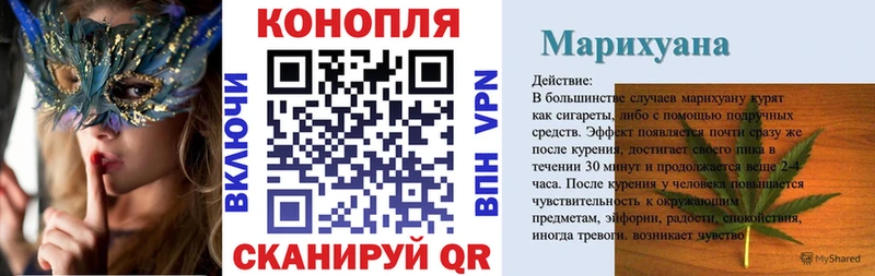 Конопля планчик Курск